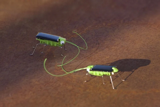 Two small solar-powered toy insects on a brown surface.