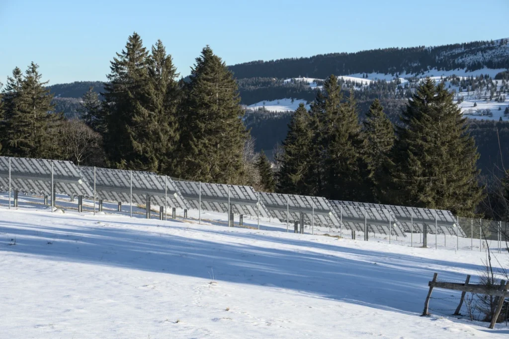 Solar panels in a snowy, cold weather landscape with pine trees.