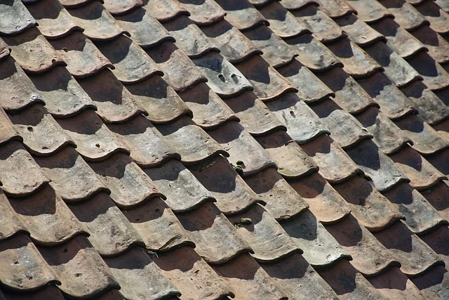 A close-up of old, weathered roof tiles, possibly unsuitable for solar panels.