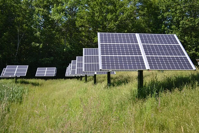 Multiple solar panels in a grassy field with trees in the background.